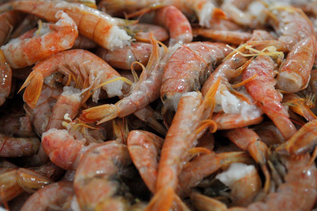 langostino