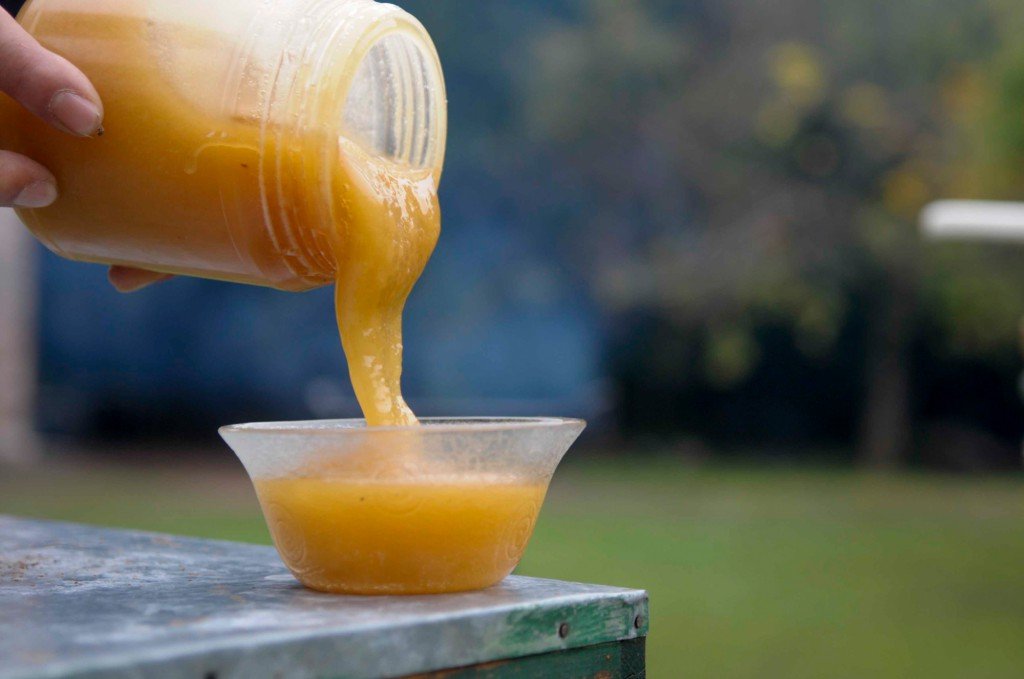 190405175225_original