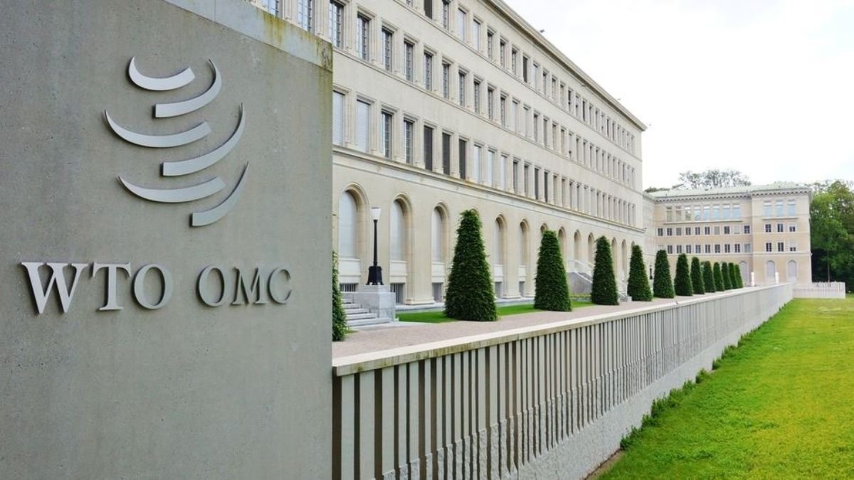 OMC – El Fondo para la Aplicación de Normas y el Fomento del Comercio  publica el Informe Anual 2019 | MercoJuris