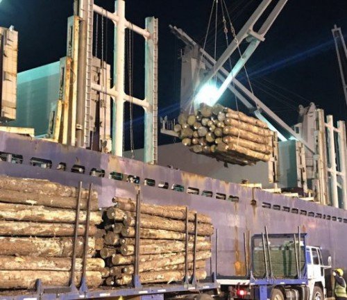 buque-madera-534x462